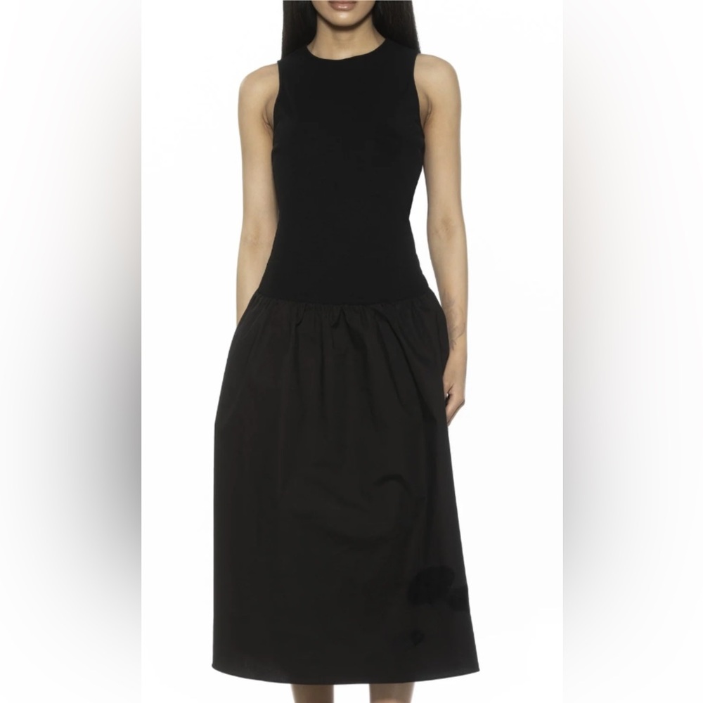 Alexia Admor Lyle Black Dress size 12